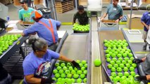 Blippi Visits An Apple Factory | Healthy Eating Videos For Kids | Educational Videos For Toddlers