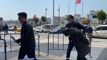 Cihangir'de parkta yürüyen kadına saldıran şüpheli adliyeye sevk edildi