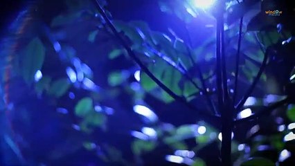 Enjoy Enjaami _ Aami Version