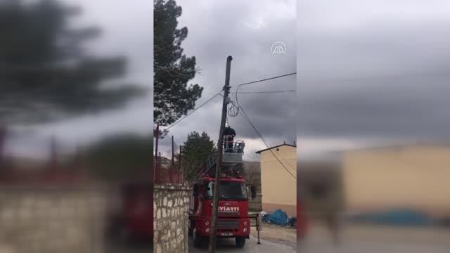 Son dakika haberleri: Telefon direğinde mahsur kalan kedi itfaiye ekiplerince kurtarıldı