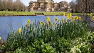 The Queen opens the gardens of Buckingham Palace to picnickers in the summer