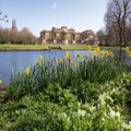 The Queen opens the gardens of Buckingham Palace to picnickers in the summer