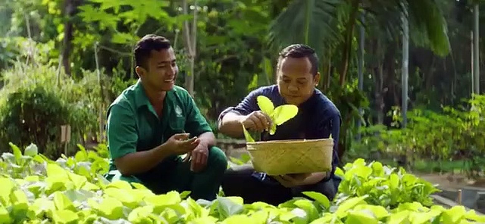 Bawah Reserve, Indonesia