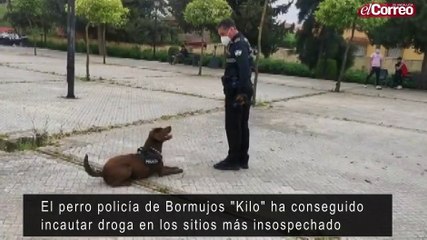 El perro policía de Bormujos "Kilo" ha conseguido incautar droga en los sitios más insospechado