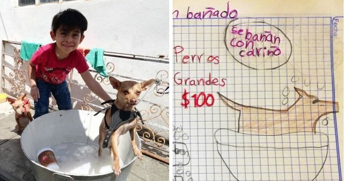 Ce garçon de 7 ans crée une adorable affiche publicitaire pour promouvoir son « salon de toilettage » pour chiens