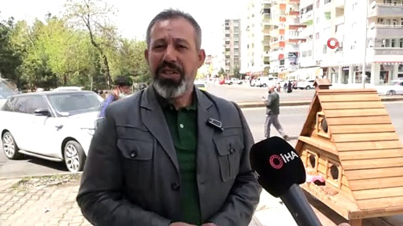 Yaralı Sokak Kedisi ‘Peşo’yu Sahiplendi, 5 Bin Lira Değerinde 14 Kediye Dubleks Ev Yaptı