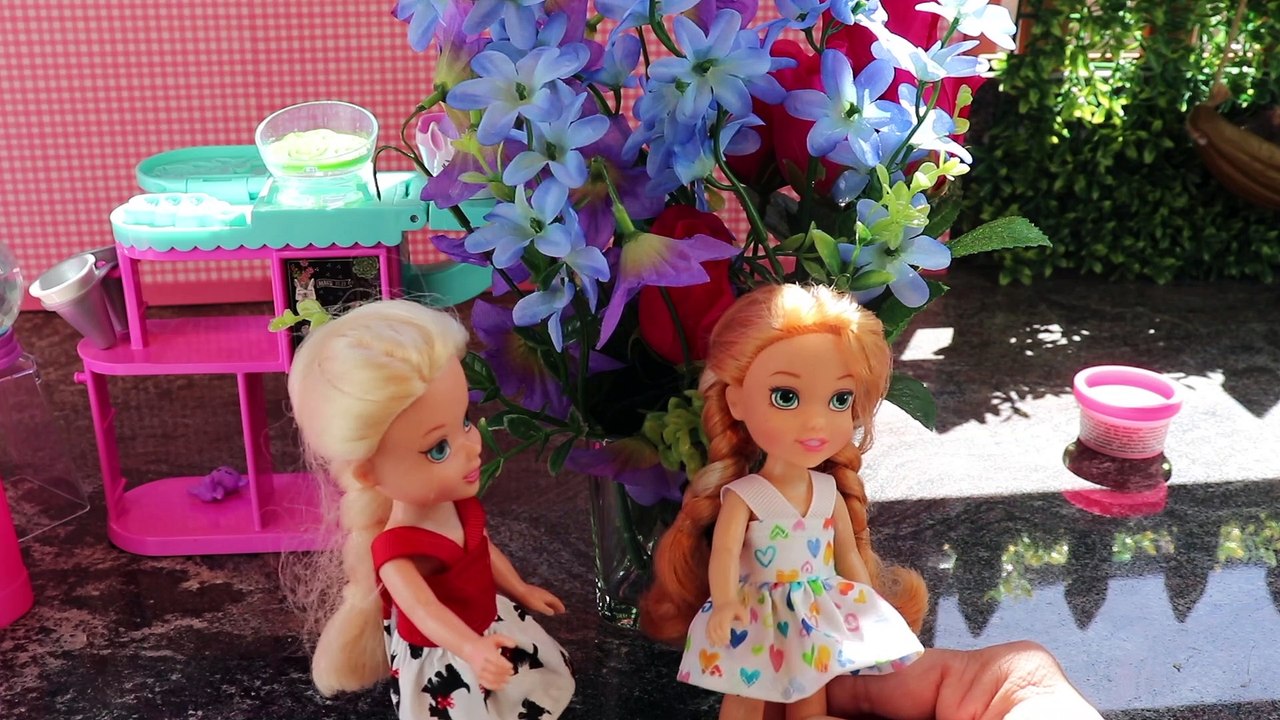 Florist ! Elsa and Anna Toddlers  Barbie is the florist - flowers - garden - play time