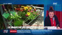 Dupin Quotidien : Le marché du bricolage cartonne - 20/04