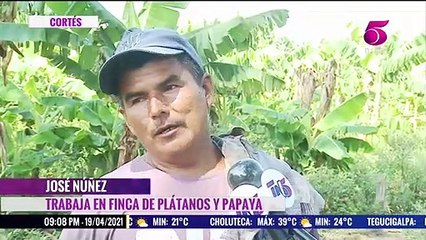 TN5 Estelar - 19 de Abril