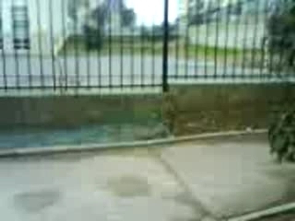 crash de toma
