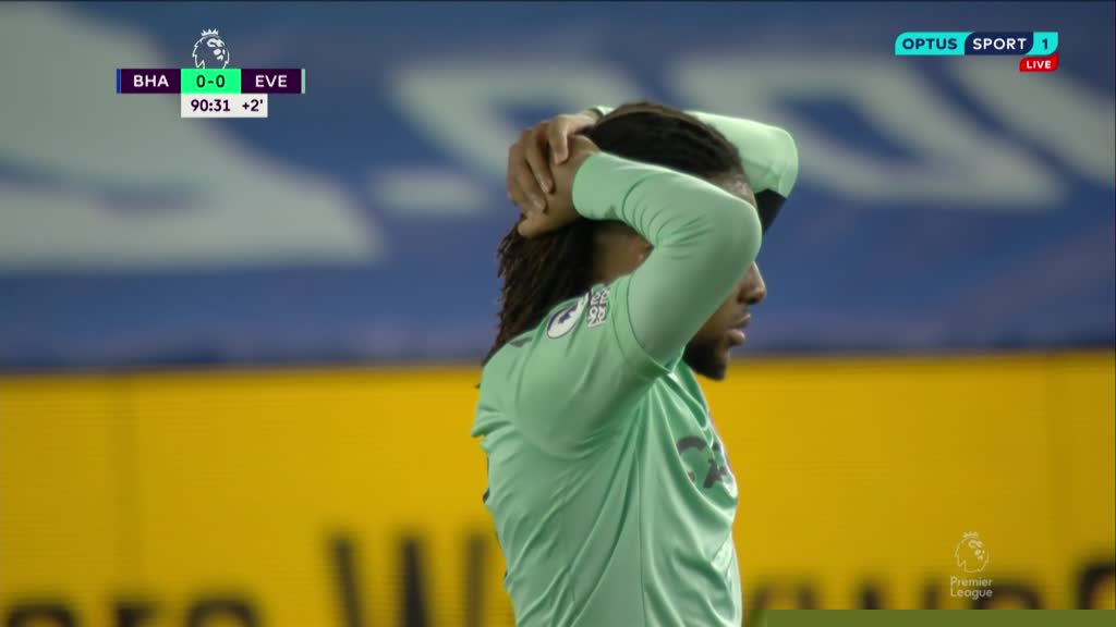Brighton and Everton share the points