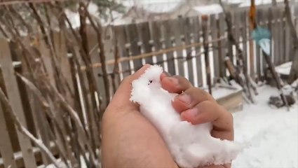 'Winter's revenge:' Storm brings mid-April snow to Winnipeg