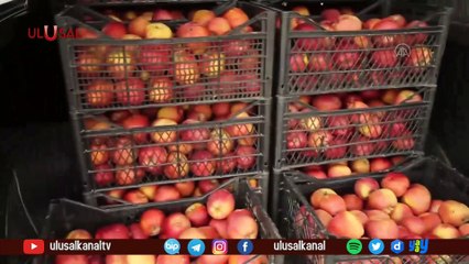 Elmacı dede yine görev başında