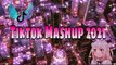 Tiktok Mashup 2021 Philippines  (Dance Craze)  1.5