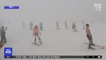 [이슈톡] 코로나 잊은 러시아…수영복 입고 스키