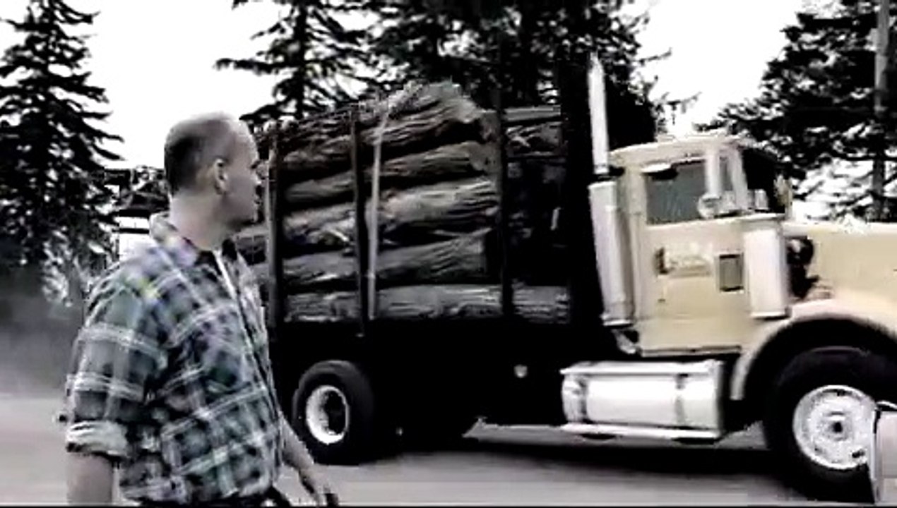 Nickelback - Too Bad