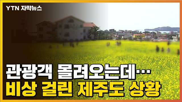 [자막뉴스] 관광객 몰려오는데...비상 걸린 제주도 상황 / YTN