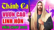 Thánh Ca Mùa Chay 2021 VƯƠN CAO LINH HỒN - Thánh Ca Tuyển Tập Hay Nhất Hiện Nay Nghe Mãi Không Chán