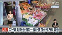 [센터뉴스] 치솟는 장바구니 물가…사과·배 가격 고공행진 外