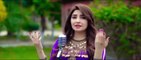 Gul Panra New Song - Pashto New Song - Gul Panra OFFICIAL New Tappy 2021