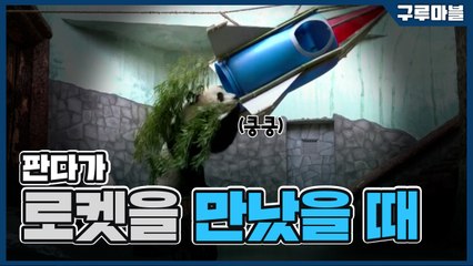 [구루마블] 판다가 로켓을 만났을 때 / YTN