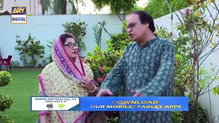 Bulbulay_Season_2_|_Episode_13_|_12th_August_2019_|_ARY_Digital_Drama(360p)