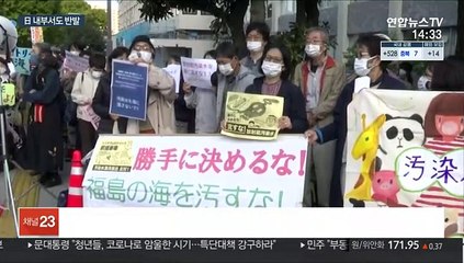 '오염수 방류' 日 내부서도 반발…"전 세계 바다 오염"