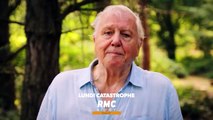 RMC STORY / RMC découverte - NOUVEAUTES 2021