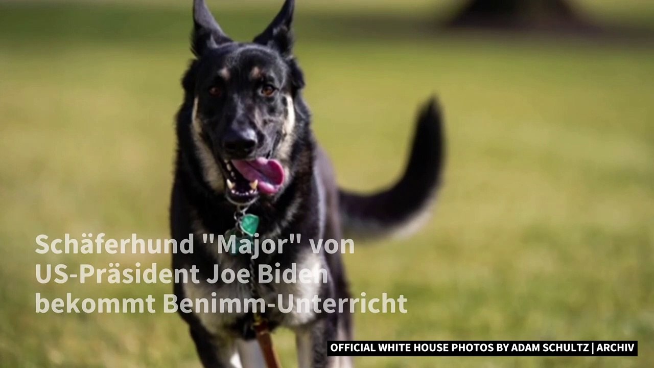 Bidens Schäferhund bekommt Benimmunterricht