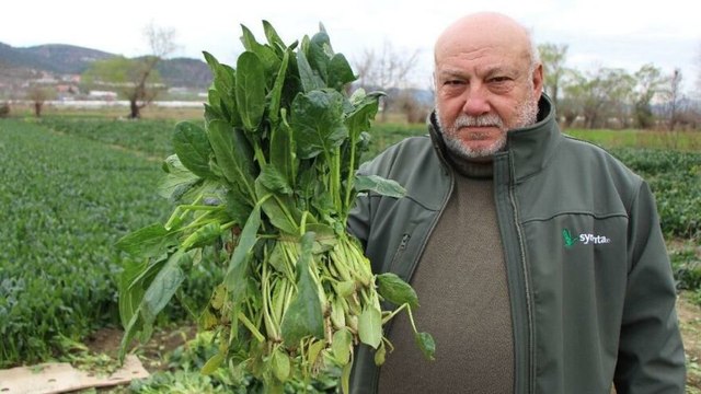 Çiftçi isyan etti: Benim ıspanağımı da satın alıp halka dağıtsınlar