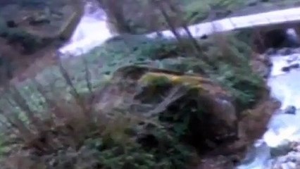 Rize'de kamyonet dereye yuvarlandı