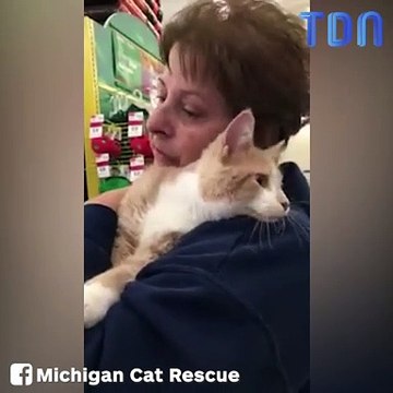 Tellement heureux d'être adopté, ce chat ne s'arrête pas de lécher sa nouvelle maîtresse