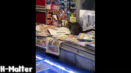 Tiktok Viral Song Remix - Vol. 3 | 2021 Dj Rowel Nonstop (1 Hour)