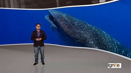 WordPress in UrduHindi by DigiSkills   Background in WordPress 67