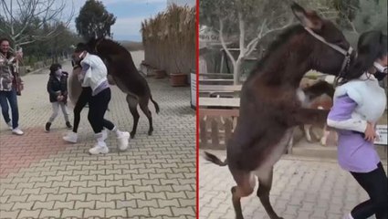 İşte Benim Stilim yarışmasıyla tanınan Zeynep Öztürk, sıpanın saldırısına uğradı