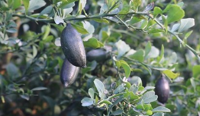 เรื่องพลบค่ำ ช่วงที่ 1 วันอังคารที่ 13 เมษายน 2564