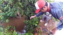 MANCING IKAN BAUNG Bonus Strike Ikan Lais Selais Extra Besar #47 Fayz Fishing Adventure