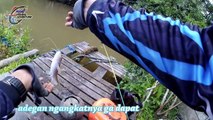 MANCING IKAN itu Membawa Kebahagiaan dan Jauh Dari Stres, Hater mana Paham #51