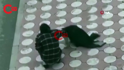 Batman’da üşüyen köpeğin üzerine montunu örttü