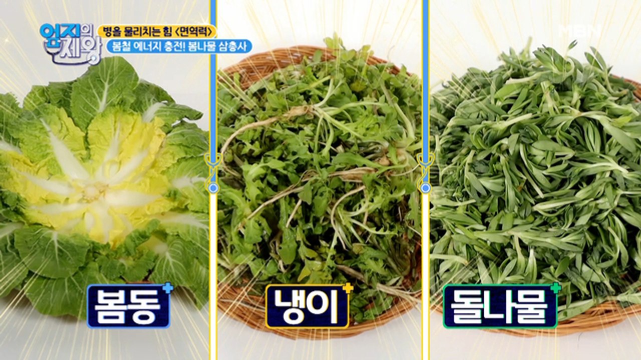 봄철 에너지 뿜뿜! 봄나물 삼총사를 소개합니다~♬ (Feat. 기력충전 주꾸미)