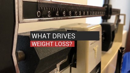 What Drives Weight Loss?