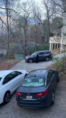 Bear Snatches Candy From Unlocked Car