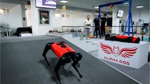 Meet Alphadog, the world's fastest Chinese robodog (1)