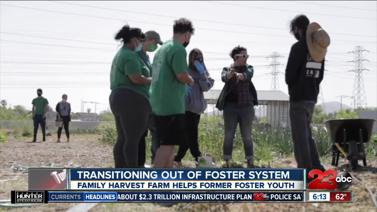 Family Harvest Farm helps former foster youth t...