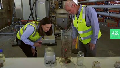 Scientists have grown a clean, green superbug that eats sewage