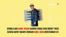 Catat! Ini 7 Langkah Cegah Kebakaran Akibat Korsleting Listrik