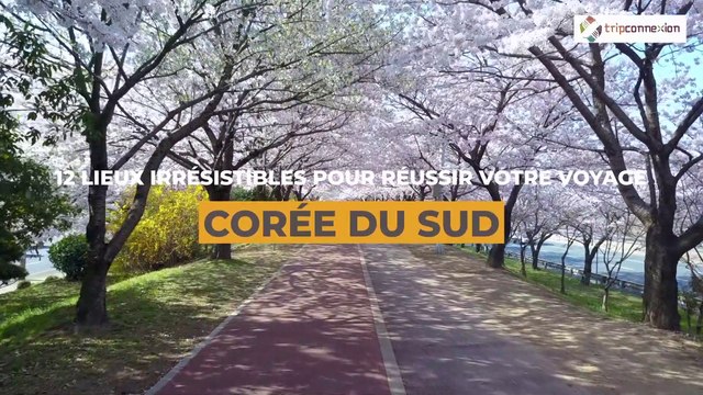 Voyage en Corée du Sud : que visiter ?