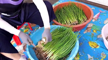 Seafood Pancake Bawang Hijau (Pajeon and Buchujeon) - Jajanan Korea (street food)