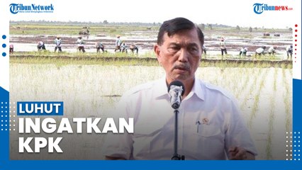 Luhut Ingatkan KPK Tak Jadi Alat Politik dan Kekuasaan