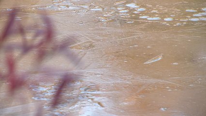 [날씨] 4월에 내륙 첫 한파특보...농작물 냉해 주의 / YTN